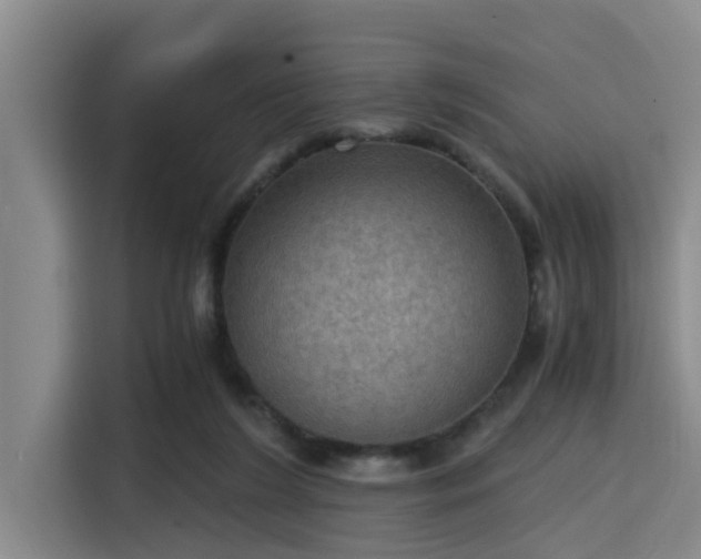 X0000115410212200911101618