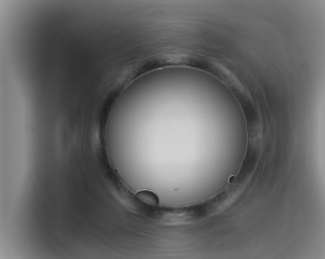 X0000115410213200911101618