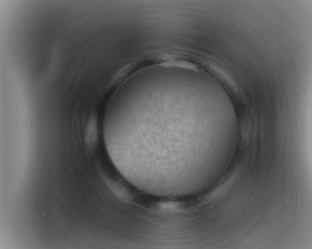 X0000115410216200911101618