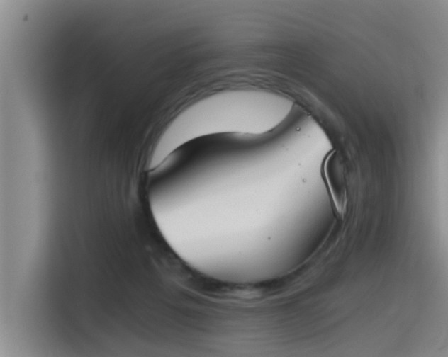 X0000115410217200911101618