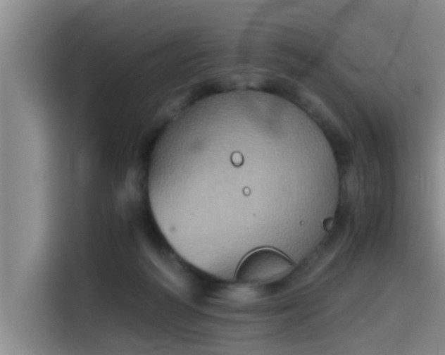 X0000115410218200911101618