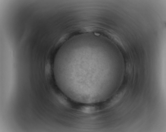 X0000115410220200911101618