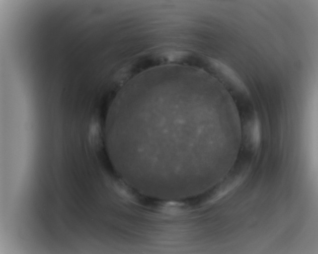 X0000115410222200911101618