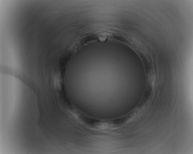 X0000115410223200911101618