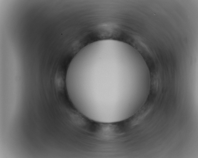 X0000115410226200911101618