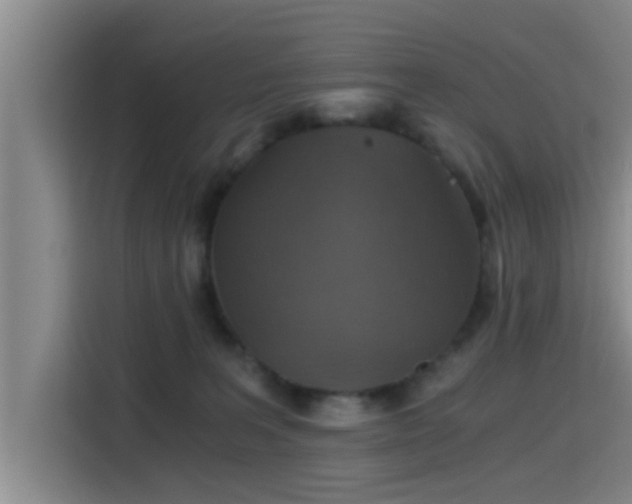 X0000115410227200911101618