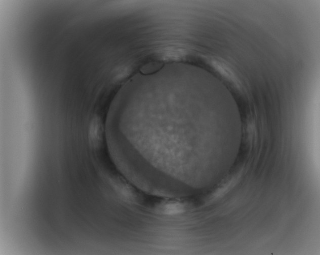 X0000115410228200911101618