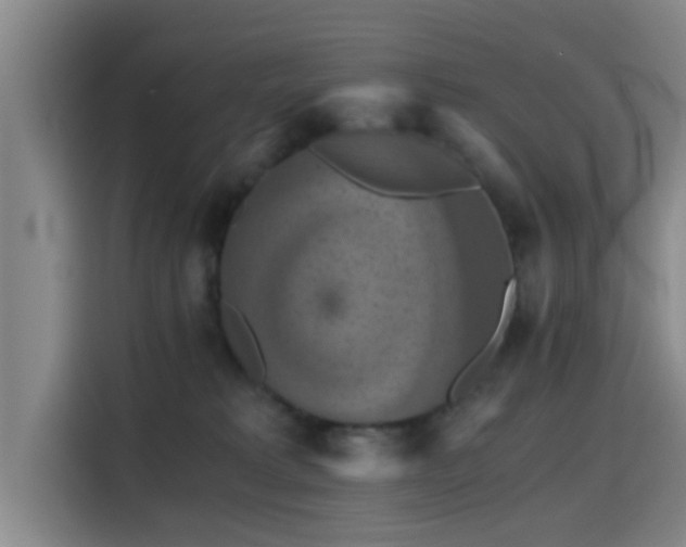 X0000115410229200911101618