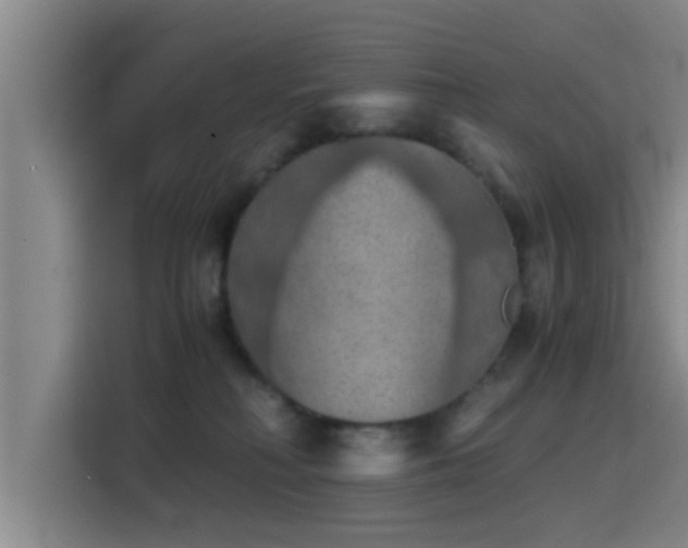 X0000115410230200911101618