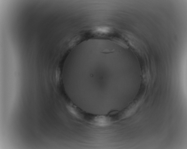 X0000115410231200911101618