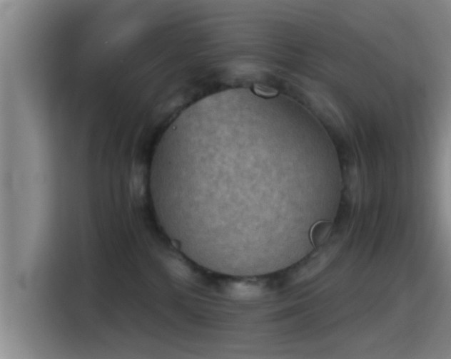 X0000115410232200911101618