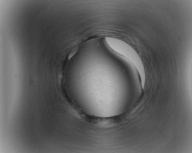 X0000115410235200911101618