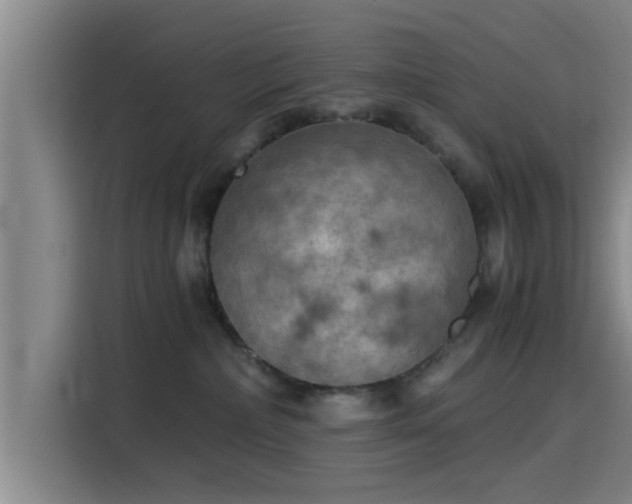 X0000115410236200911101618