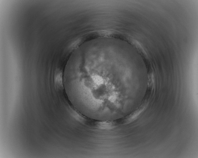 X0000115410238200911101618