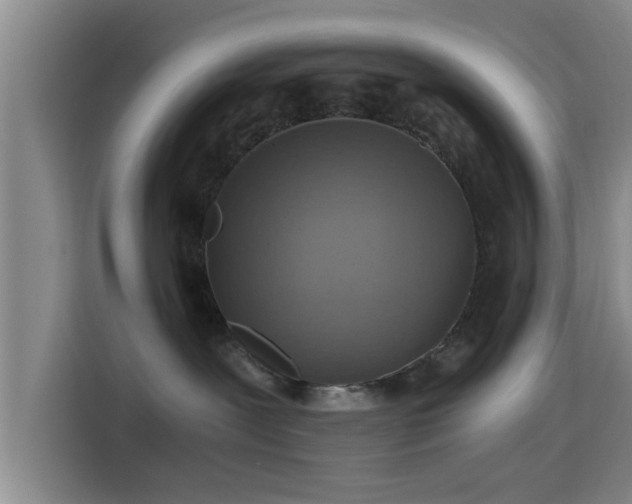 X0000115410239200911101618