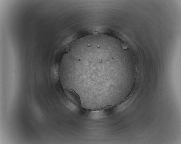 X0000115410240200911101618