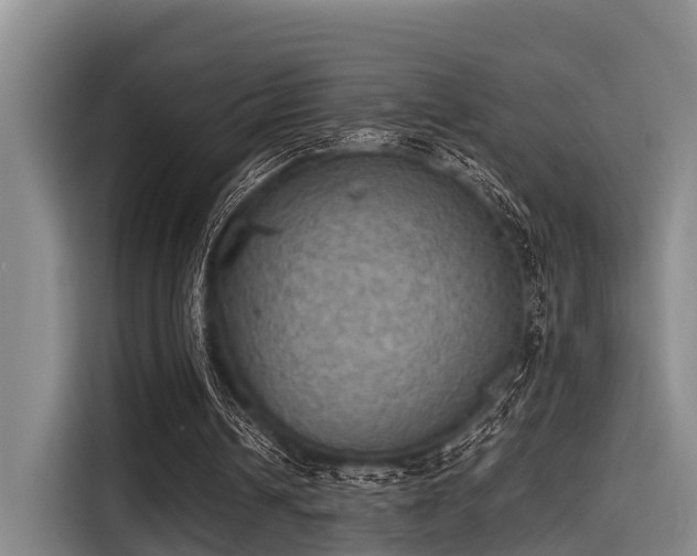 X0000115410242200911101617