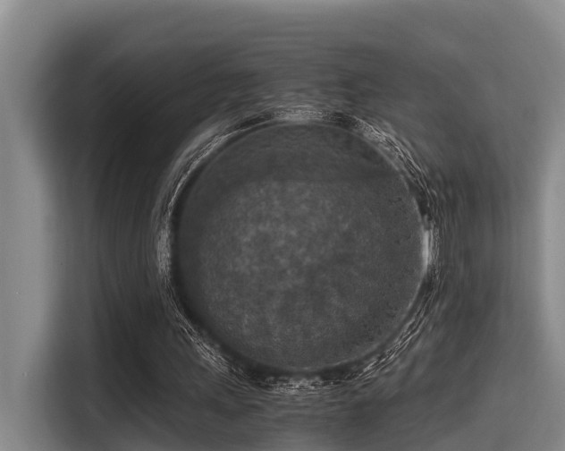 X0000115410243200911101617