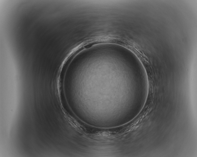 X0000115410244200911101617