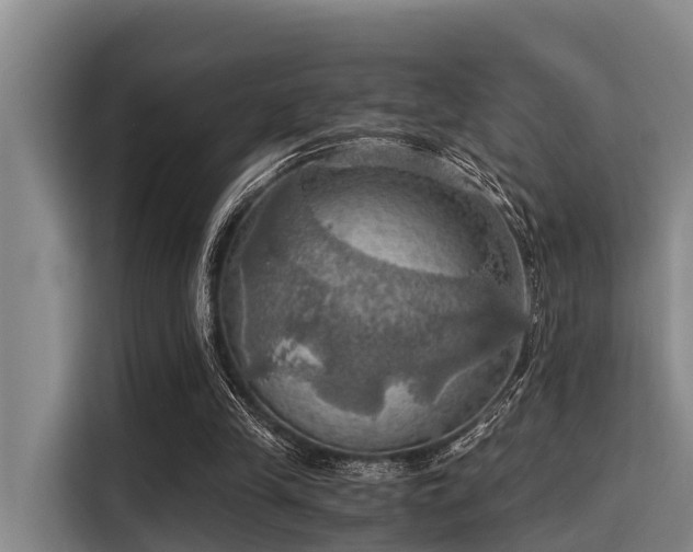 X0000115410245200911101617