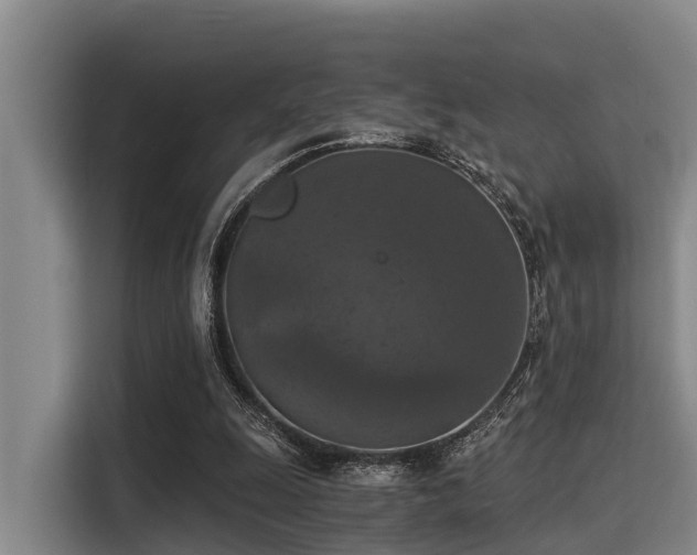 X0000115410247200911101617