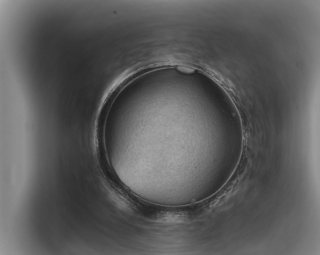 X0000115410248200911101617