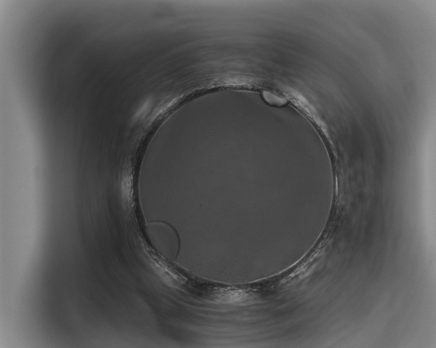 X0000115410249200911101617