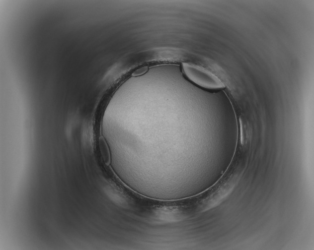 X0000115410252200911101617