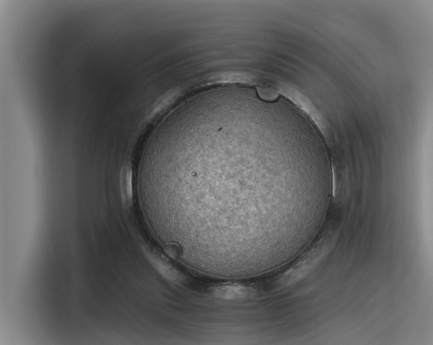 X0000115410253200911101617