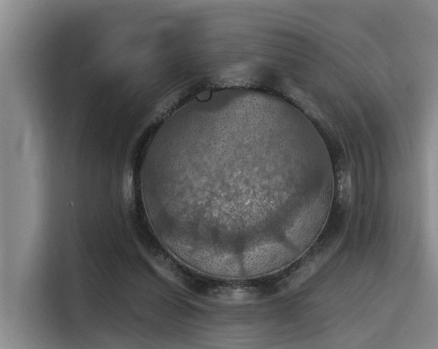 X0000115410254200911101617