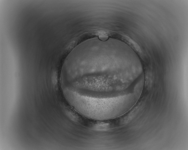 X0000115410257200911101617