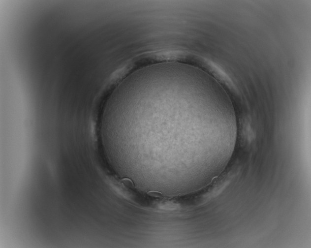 X0000115410258200911101617