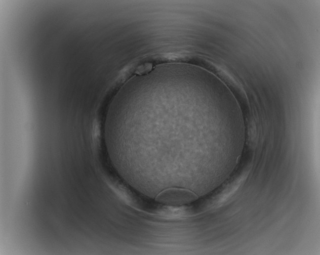 X0000115410260200911101617