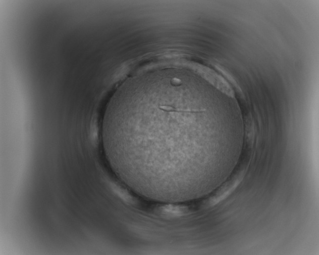 X0000115410261200911101617
