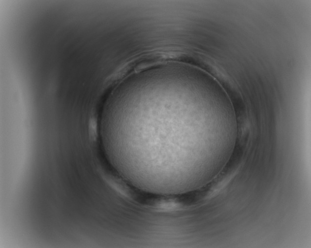 X0000115410262200911101617