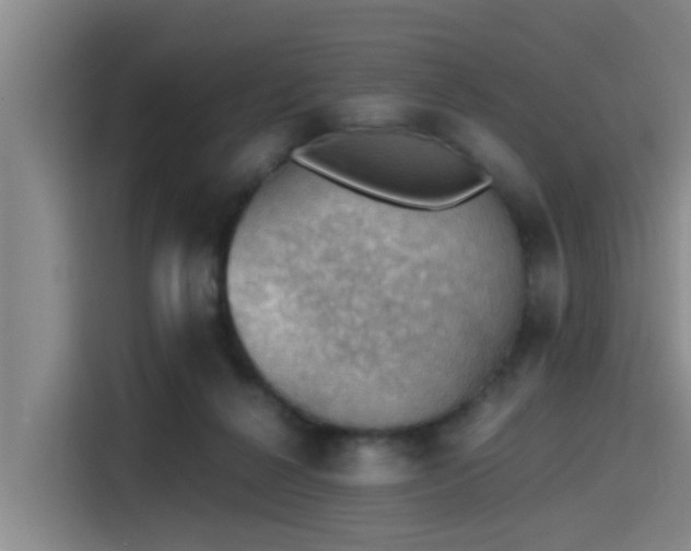 X0000115410264200911101617