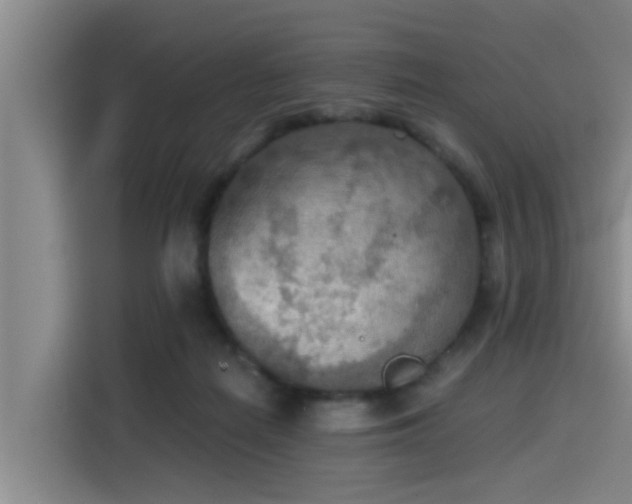 X0000115410266200911101617