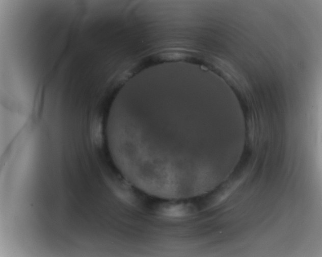 X0000115410267200911101617