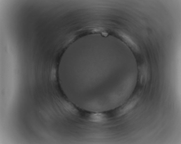 X0000115410269200911101617