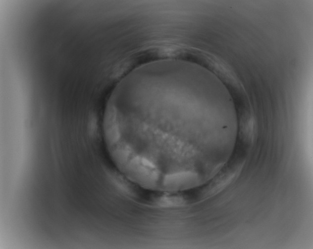 X0000115410270200911101617