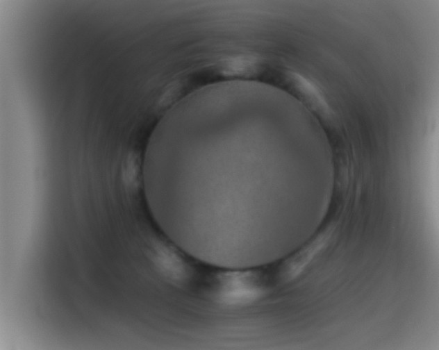 X0000115410273200911101617