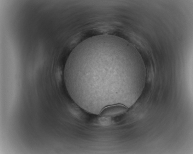 X0000115410279200911101617