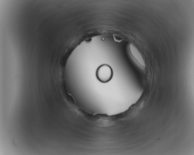 X0000115410280200911101617