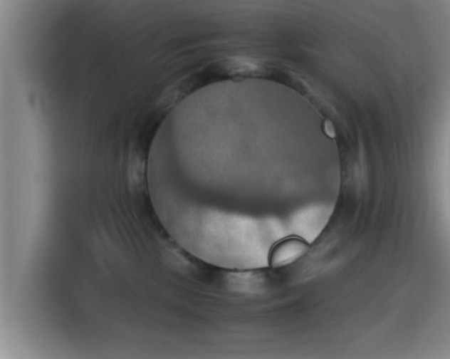 X0000115410281200911101617