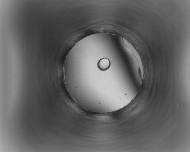 X0000115410284200911101617