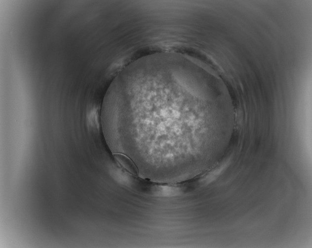 X0000115410286200911101618