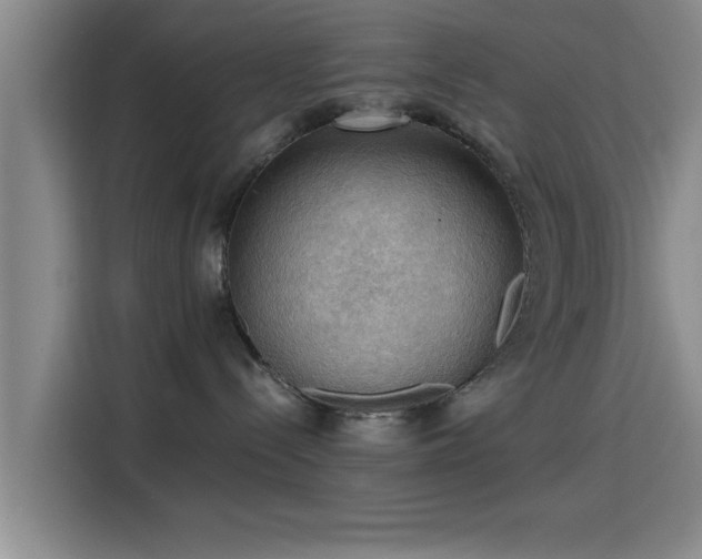 X0000115410288200911101618
