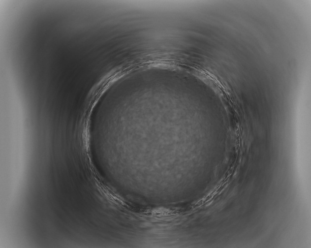 X0000115410290200911101617