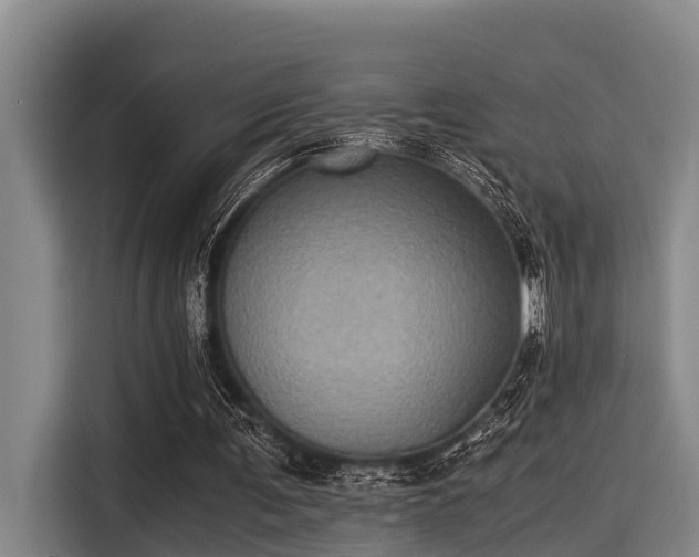 X0000115410291200911101617
