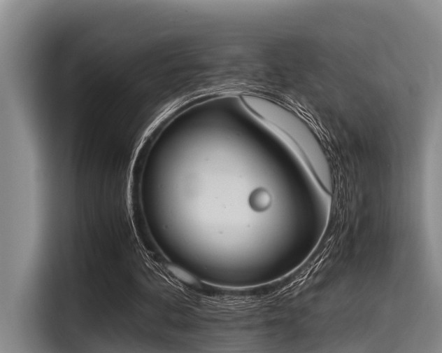 X0000115410292200911101617